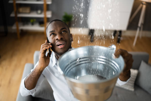 Best Mold removal after water damage  in Marshallton, PA