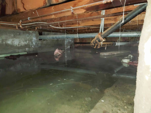 Best Water damage restoration company  in Marshallton, PA