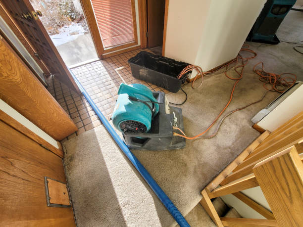 Best Flooded house restoration  in Marshallton, PA