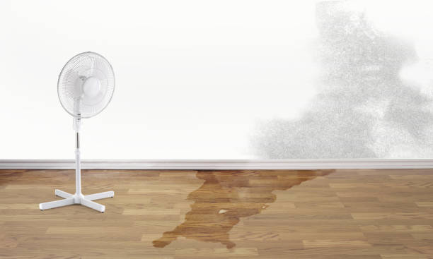 Best Commercial water damage restoration  in Marshallton, PA