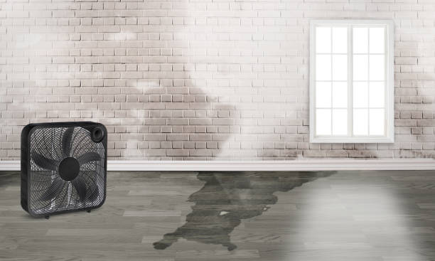 Reliable Marshallton, PA Water damage restoration Solutions