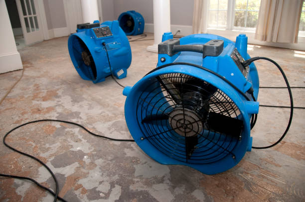 Best Sewage cleanup and water damage restoration  in Marshallton, PA