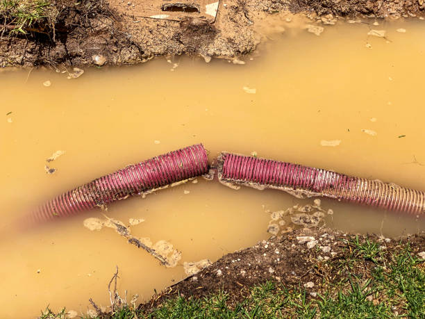 Best Flood damage cleanup  in Marshallton, PA