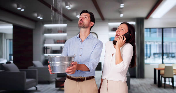 Best Water damage cleanup near me  in Marshallton, PA